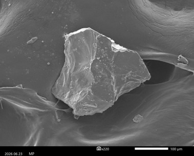 Particle image