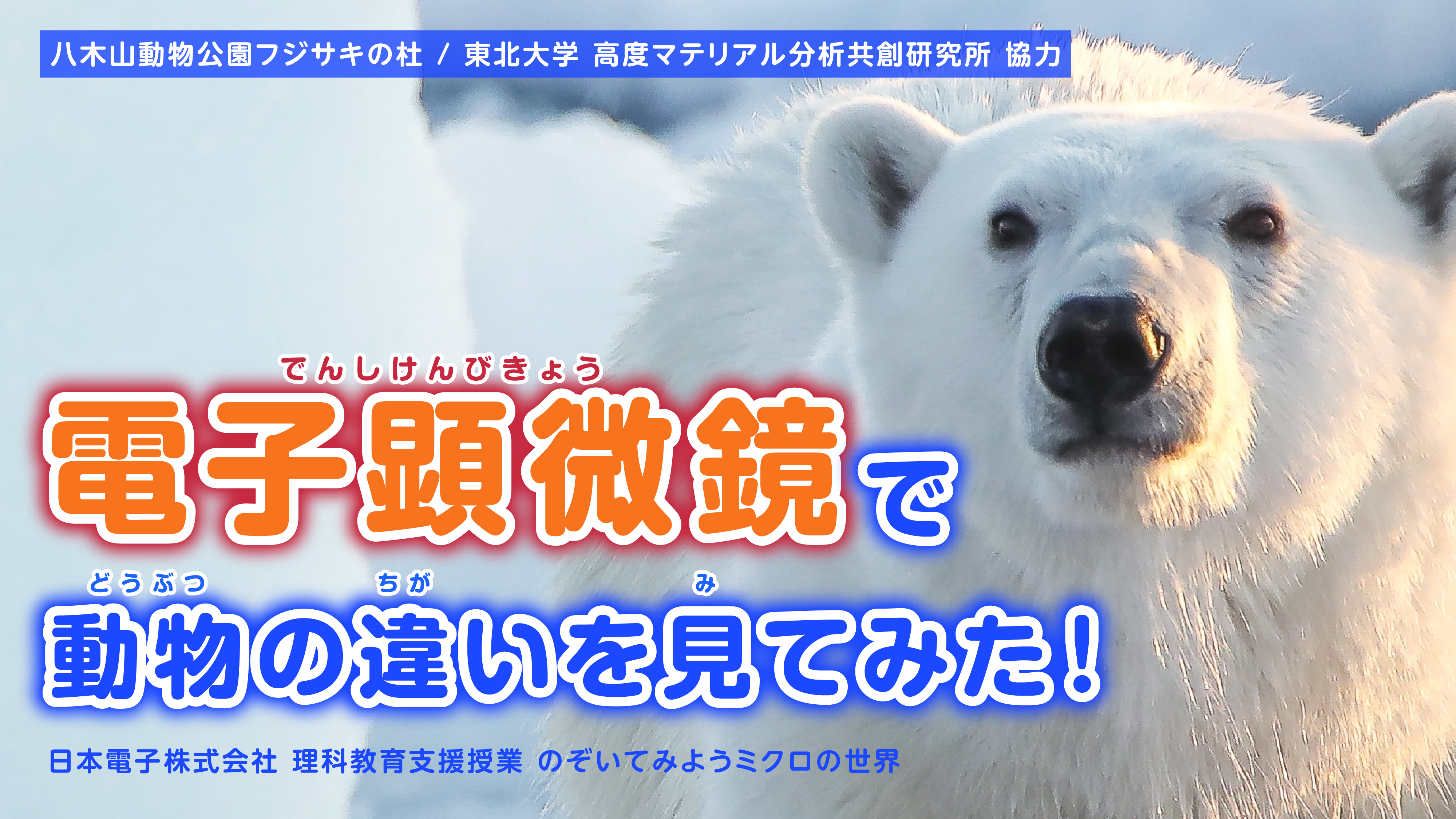 【八木山動物公園】電子顕微鏡で動物の違いを見てみた！