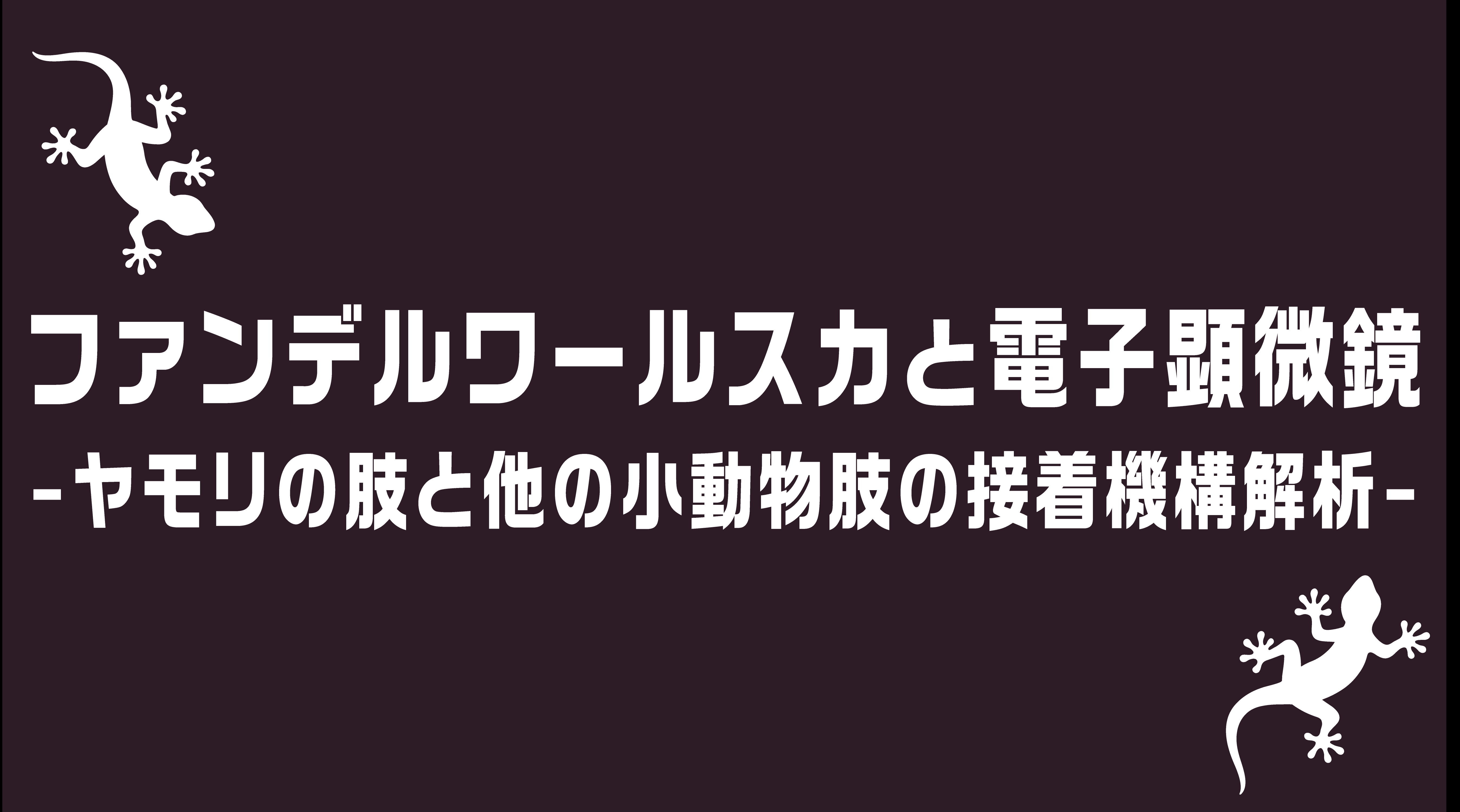 ファンデルワールス力と電子顕微鏡