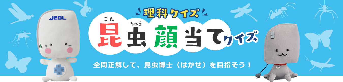 理科クイズ 昆虫顔当てクイズ