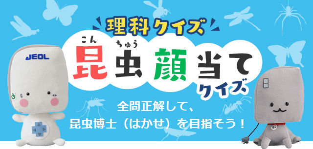 理科クイズ 昆虫顔当てクイズ