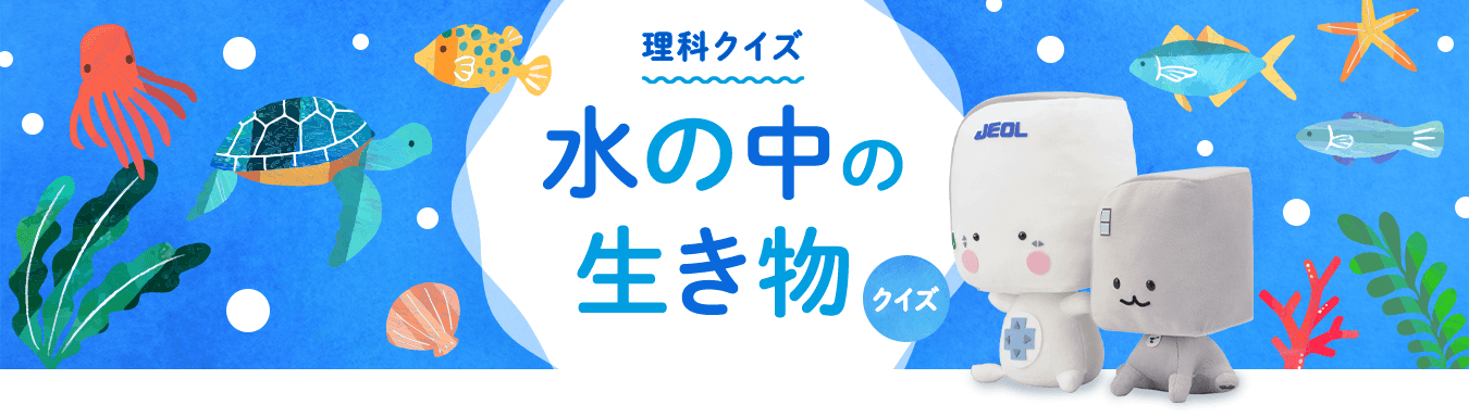 理科クイズ 水の中の生き物