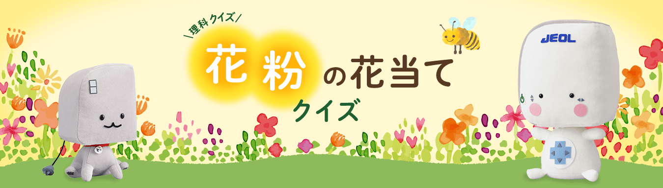 理科クイズ 花粉の花当てクイズ