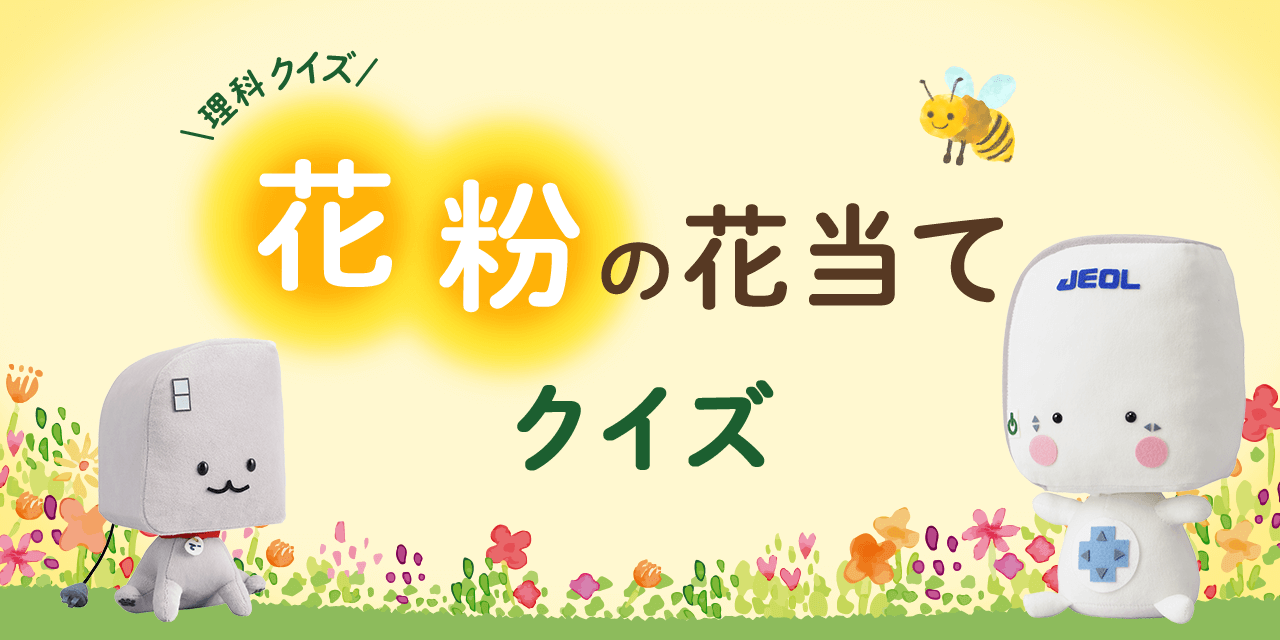 理科クイズ 花粉の花当てクイズ