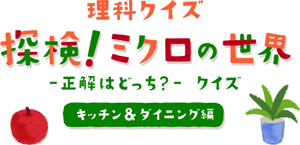 探検！ミクロの世界 ～キッチン＆ダイニング編～ -正解はどっち？- クイズ