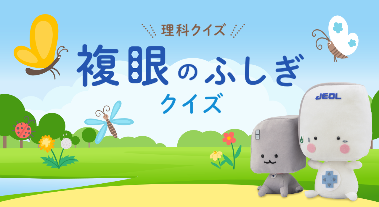理科クイズ 複眼のふしぎクイズ