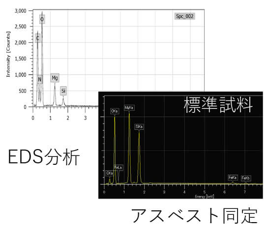 走査電子顕微鏡 (SEM) 