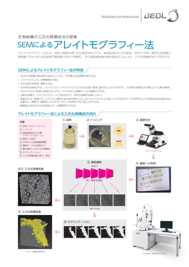 SEMによる アレイトモグラフィー法