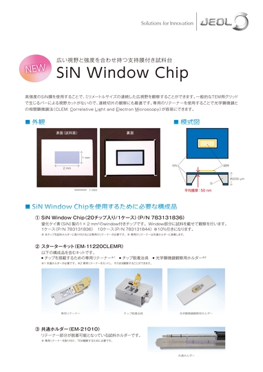 Sin Window Chip