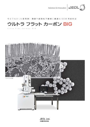 ウルトラフラットカーボンBIG