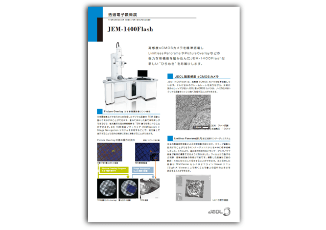 透過電子顕微鏡（TEM）