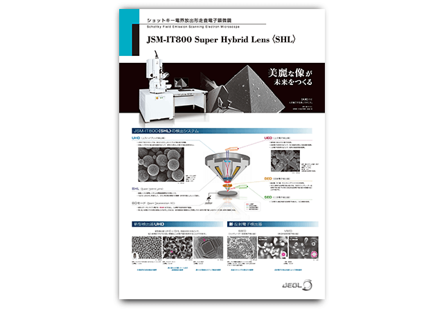 走査電子顕微鏡（SEM）