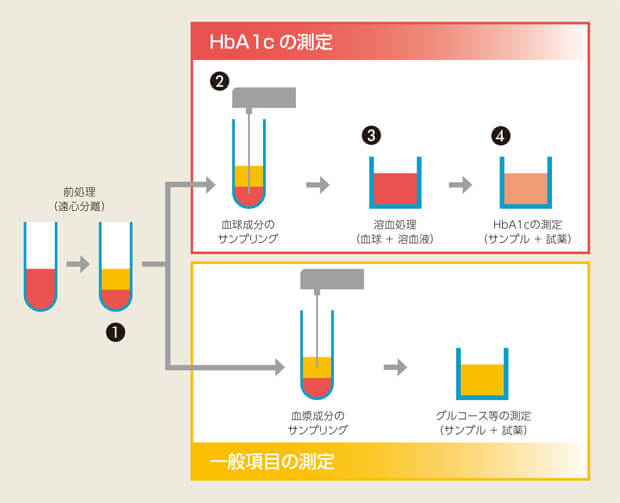 多彩でやさしいHbA1c オプション
