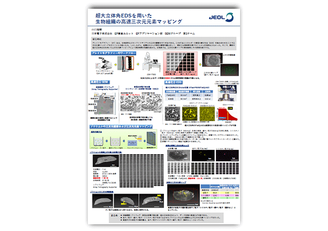超大立体角EDSを用いた生物組織の高速三次元元素マッピング