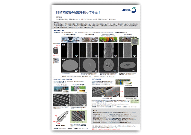 SEMで動物の秘密を探ってみた！