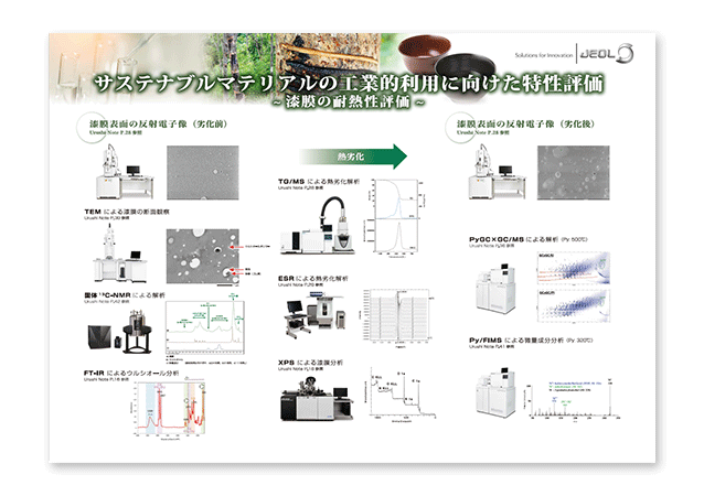 超高圧透過電子顕微鏡と四重極質量分析計の融合 -  構造解析から機能解析へ -