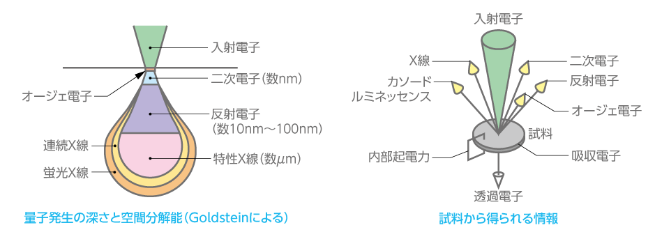 図8　電子線と量子の種類