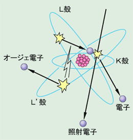 図1 オージェ電子発生原理図