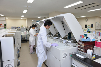 BioMajesty(TM) 使用の実例2