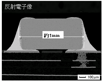 図2-1 CPによる電子部品の断面(試料:携帯電話の電子部品)