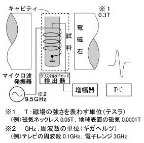 図3 ESRの基本的な構成