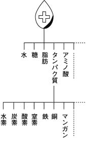 図4 血液の成分