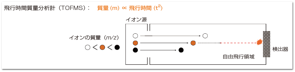 MALDI-TOFMSについて