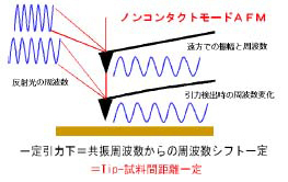 図11 ノンコンタクトモードAFM