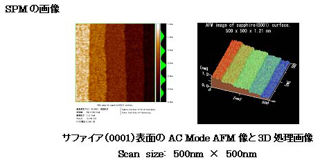 図2 SPM画像の表示形態