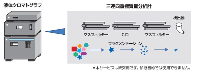 測定原理 ※本サービスは研究用です。診断目的では使用できません。