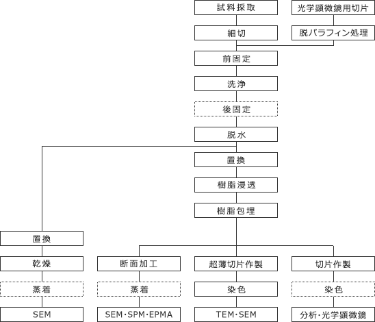 一般的な試料作製の流れ