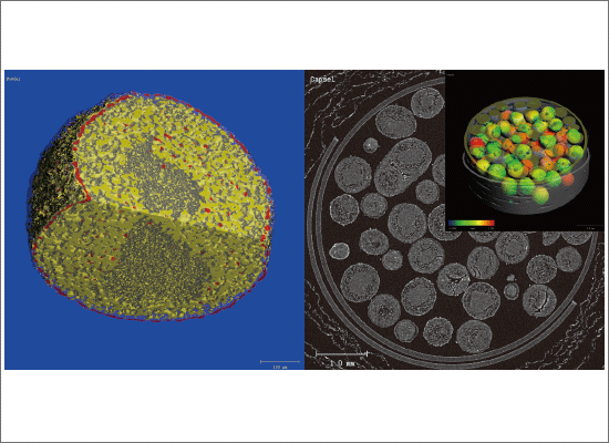 カプセル内薬剤粒子の3D構造及び粒径分布解析