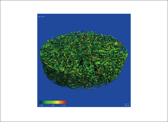 口紅内部ラメ材の幅分布 3D解析 (30µm 以上を赤で表示)