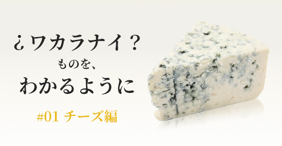ワカラナイ？ものをわかるように