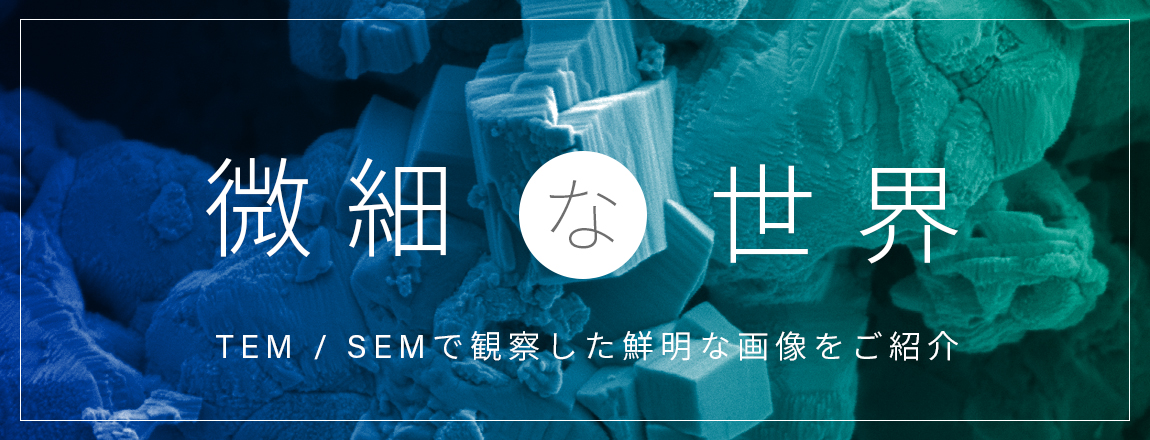 微細な世界