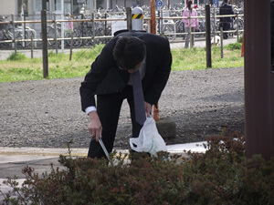 街路樹の中も丁寧に