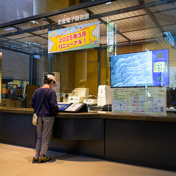 ミュージアムパーク茨城県自然博物館
