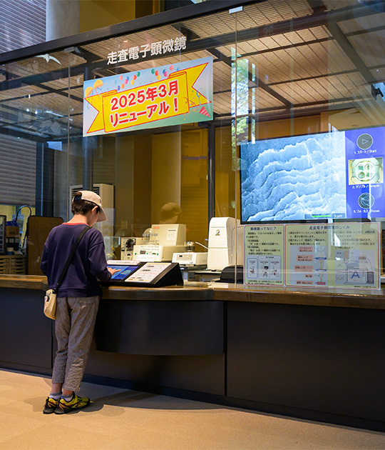 ミュージアムパーク茨城県自然博物館
