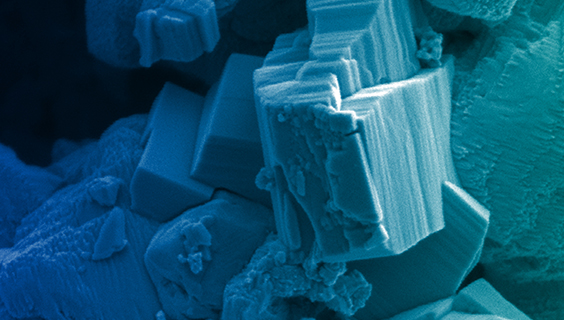 微細な世界（電子顕微鏡画像集）