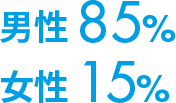 男性 87% 女性 13%