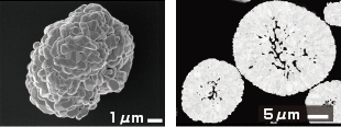 正極活物質NMC表面（左）と断面（右）の形状観察