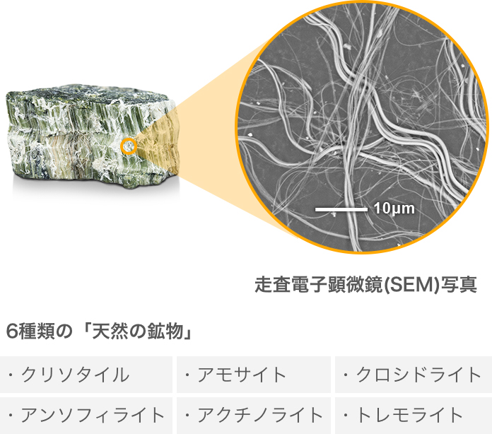 6種類の「天然の鉱物」 / 走査電子顕微鏡(SEM)写真