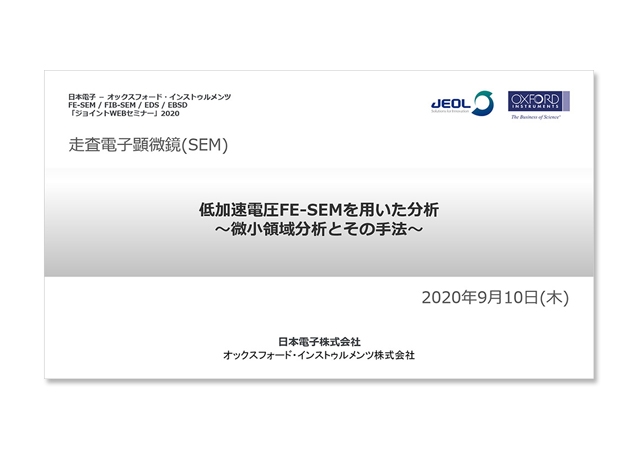 低加速電圧FE-SEMを用いた分析　～微笑領域分析とその手法～