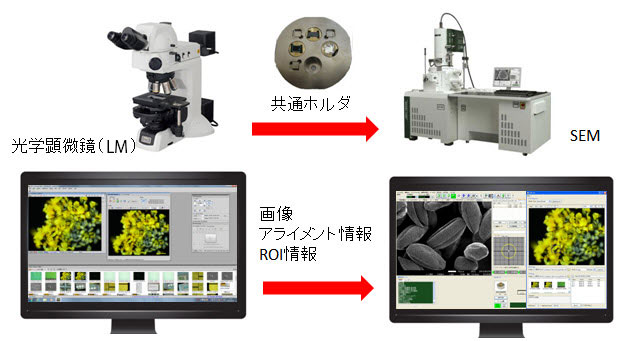 miXcroscopy(TM)光学顕微鏡/走査電子顕微鏡リンクシステム