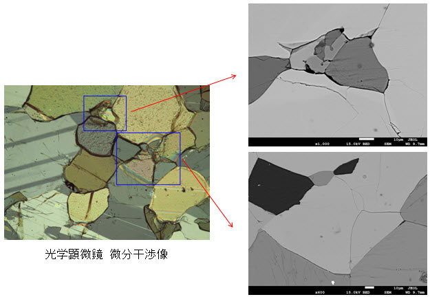 miXcroscopy(TM)光学顕微鏡/走査電子顕微鏡リンクシステム