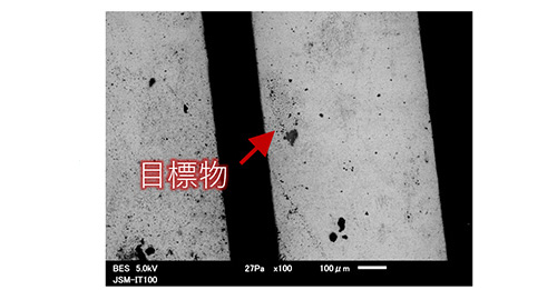 光学顕微鏡像連動ソフトウェア