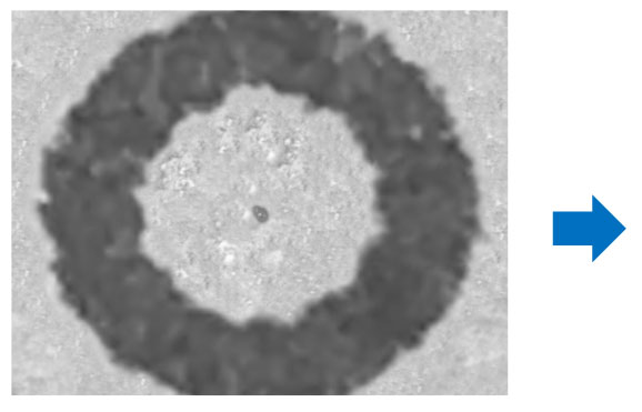走査電子顕微鏡 (SEM)