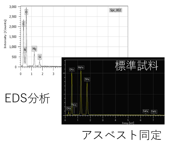 走査電子顕微鏡 (SEM)