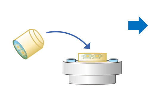 polish CLEM / milling CLEM Workflow