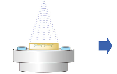 polish CLEM / milling CLEM Workflow